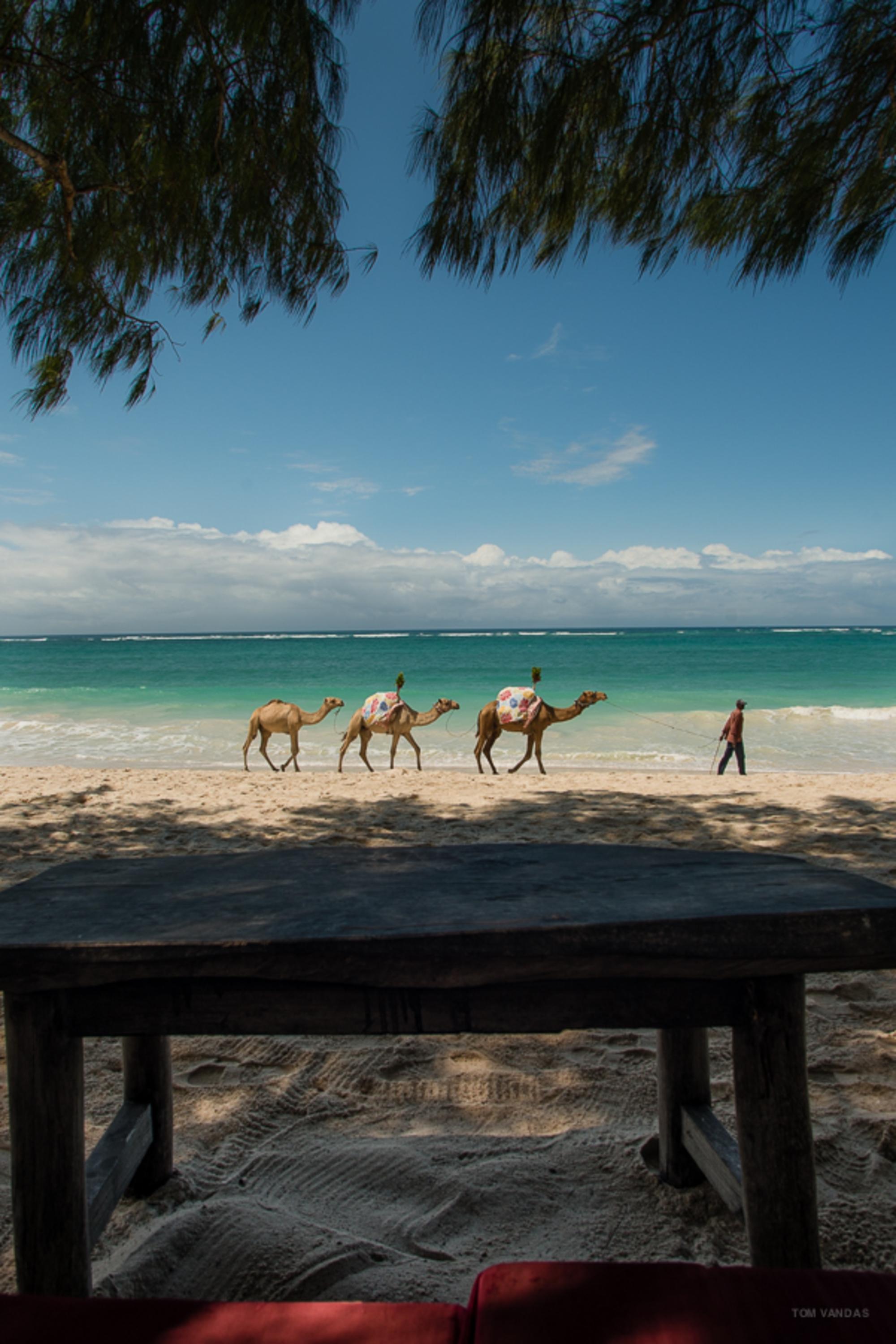 Bahari Dhow Beach Villas Diani Beach Luaran gambar